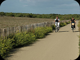 Piste cyclable à Toulouse
